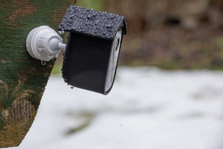 Vom einfachen Garten zur Wildtier-Show von Satteins