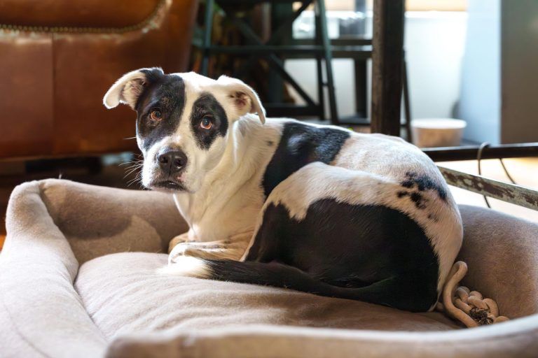 Warum eine Bregenzer Goldschmiedin ausschließlich mit recyceltem Gold arbeitet