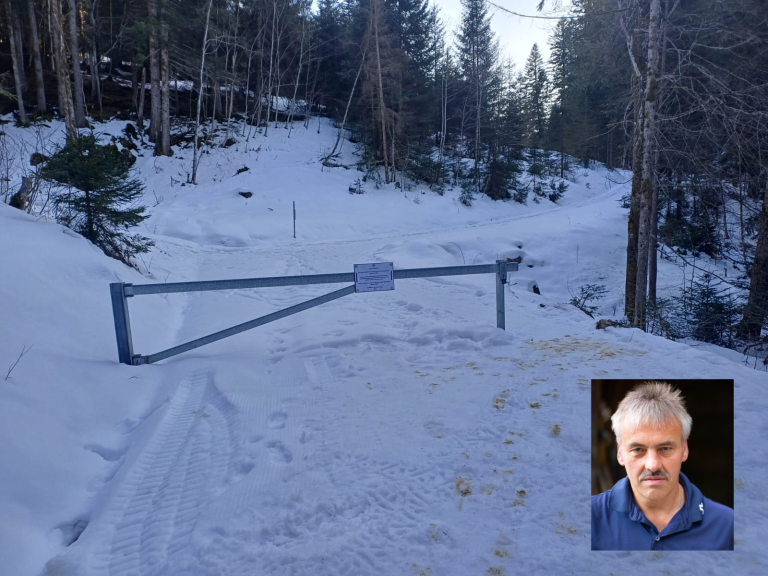 Design ohne Titel - 1