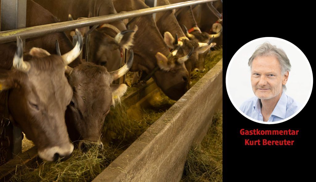 TBC: Ursachen bekämpfen statt Symptome