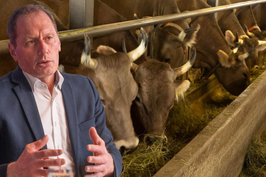 TBC-Alarm im Wald: "Seuchenbekämpfung kennt leider keine Jagdethik": Moosbrugger fordert Rotwild-Abschuss