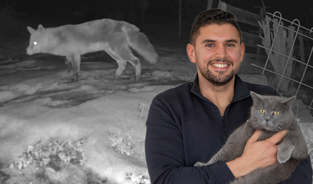 Vom einfachen Garten zur Wildtier-Show von Satteins