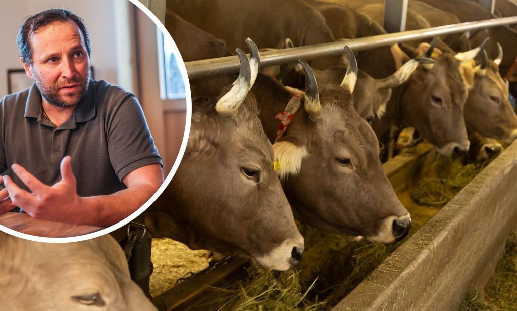 "Am Tag X wird ein Lebenswerk vernichtet"