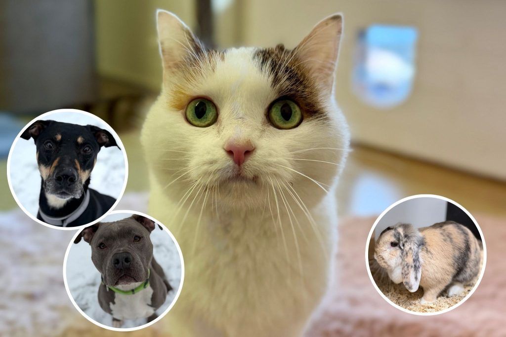 Ein liebevolles Zuhause