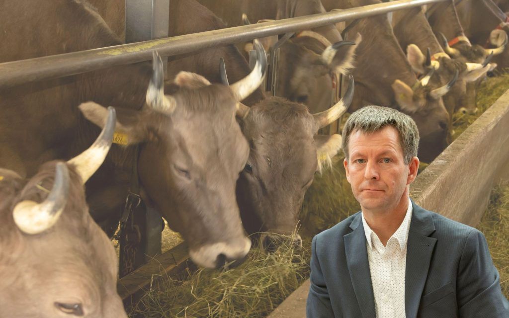 Zwei weitere Betriebe wegen TBC gesperrt: "Müssen Rotwildbestand drastisch reduzieren"