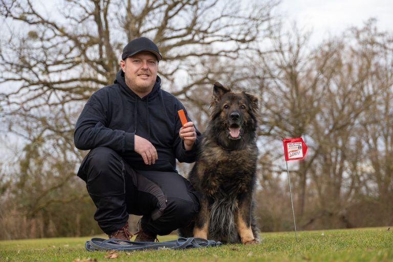 Hündin Kasha aus Höchst: Mit feiner Nase zur Weltmeisterschaft