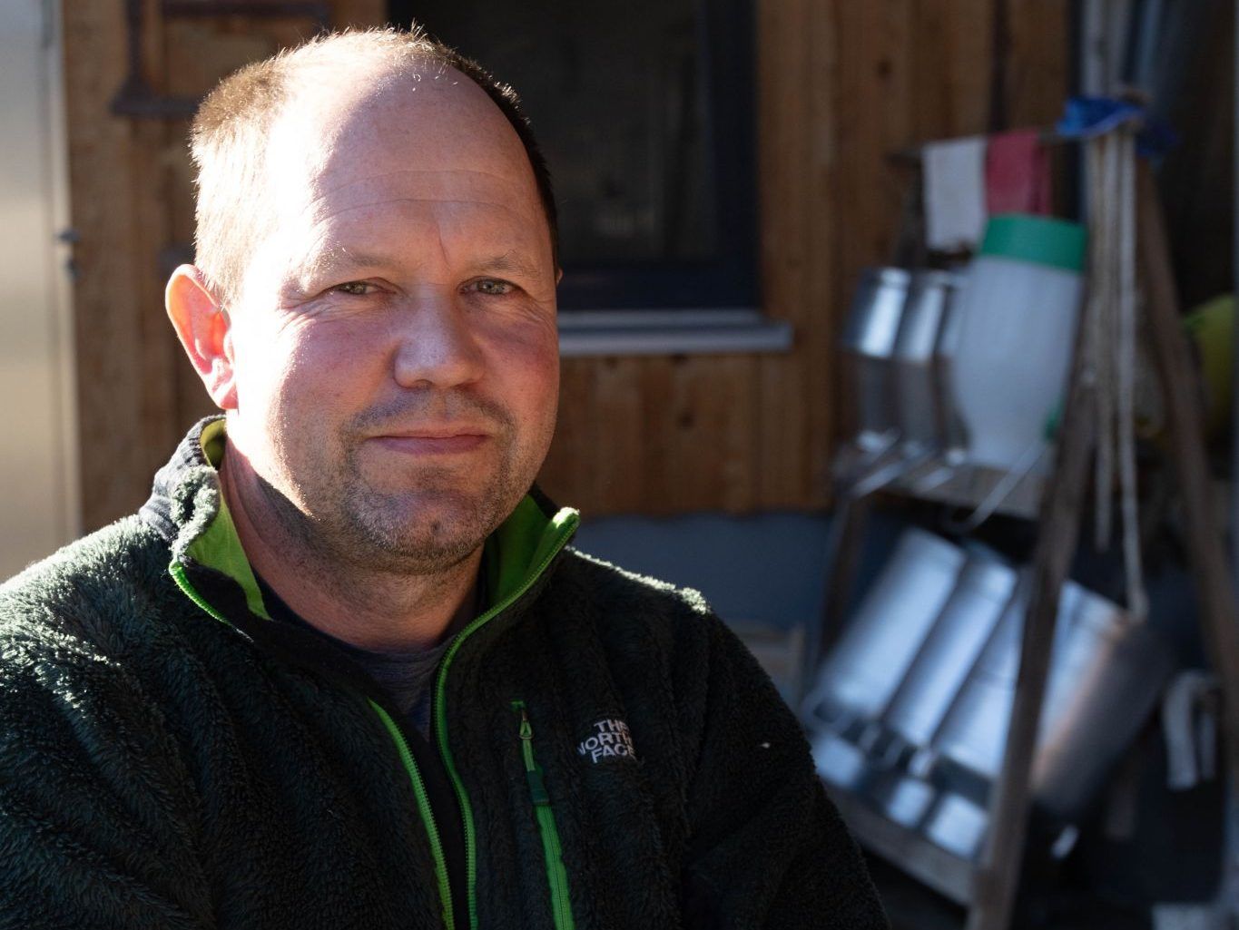 TBC-Seuche: Waldverein und Arbeitsgruppe fordern höhere Abschusszahlen