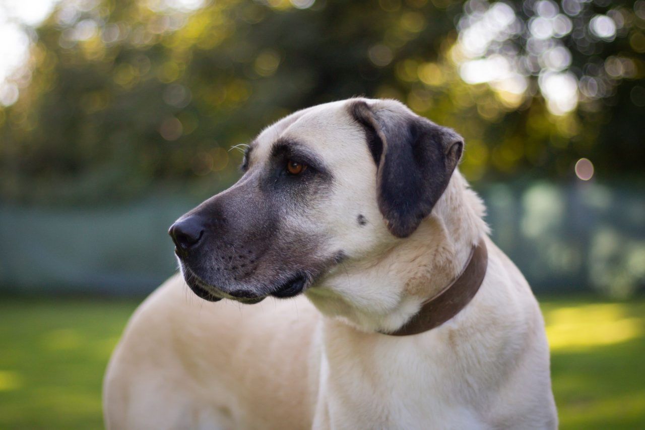 Suche nach neuem Zuhause