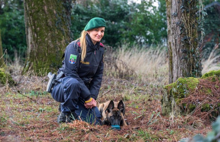 Wie Schäferhund Oskar Verbrecher aufspürt