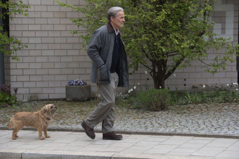 Kinostarts, Filme der Woche, Ein fast perfekter Antrag