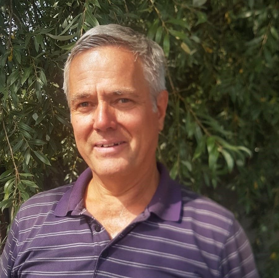 Hund aus Tollwut-Import landete in Vorarlberg