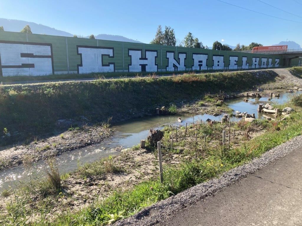 Prozess wegen Sachbeschädigung: Altacher Fans übermalten beleidigenden Schriftzug von Lustenau-Anhängern