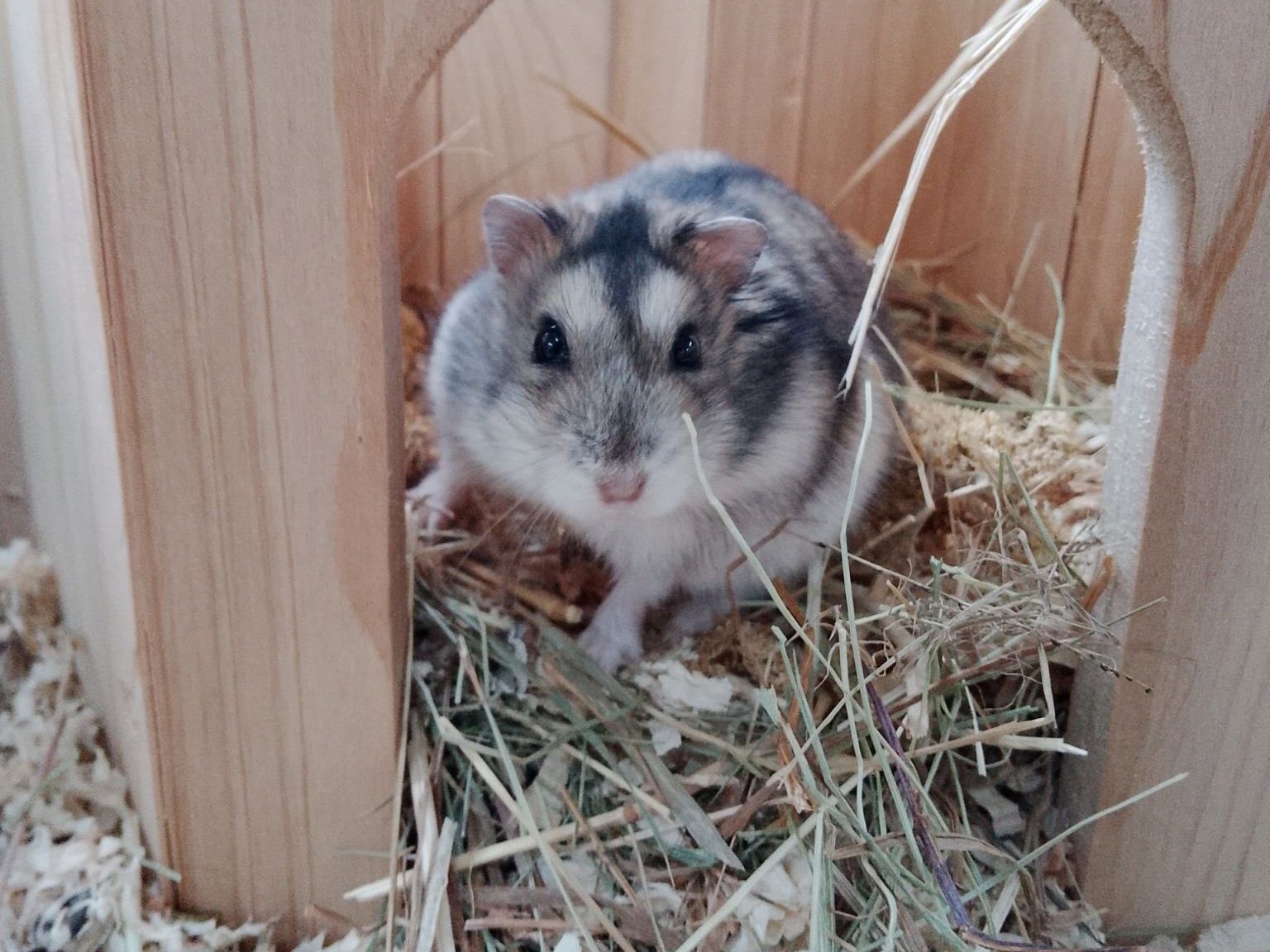 Wo geblasene Töne noch handgemacht sind