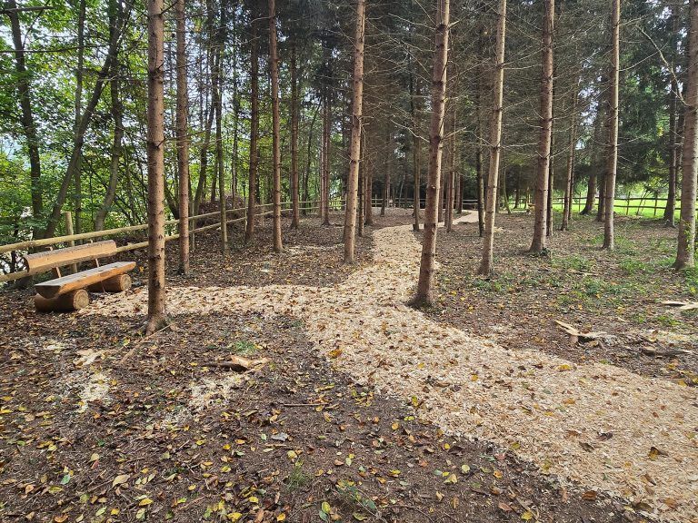 Eröffnung Bestattungswald Tosters