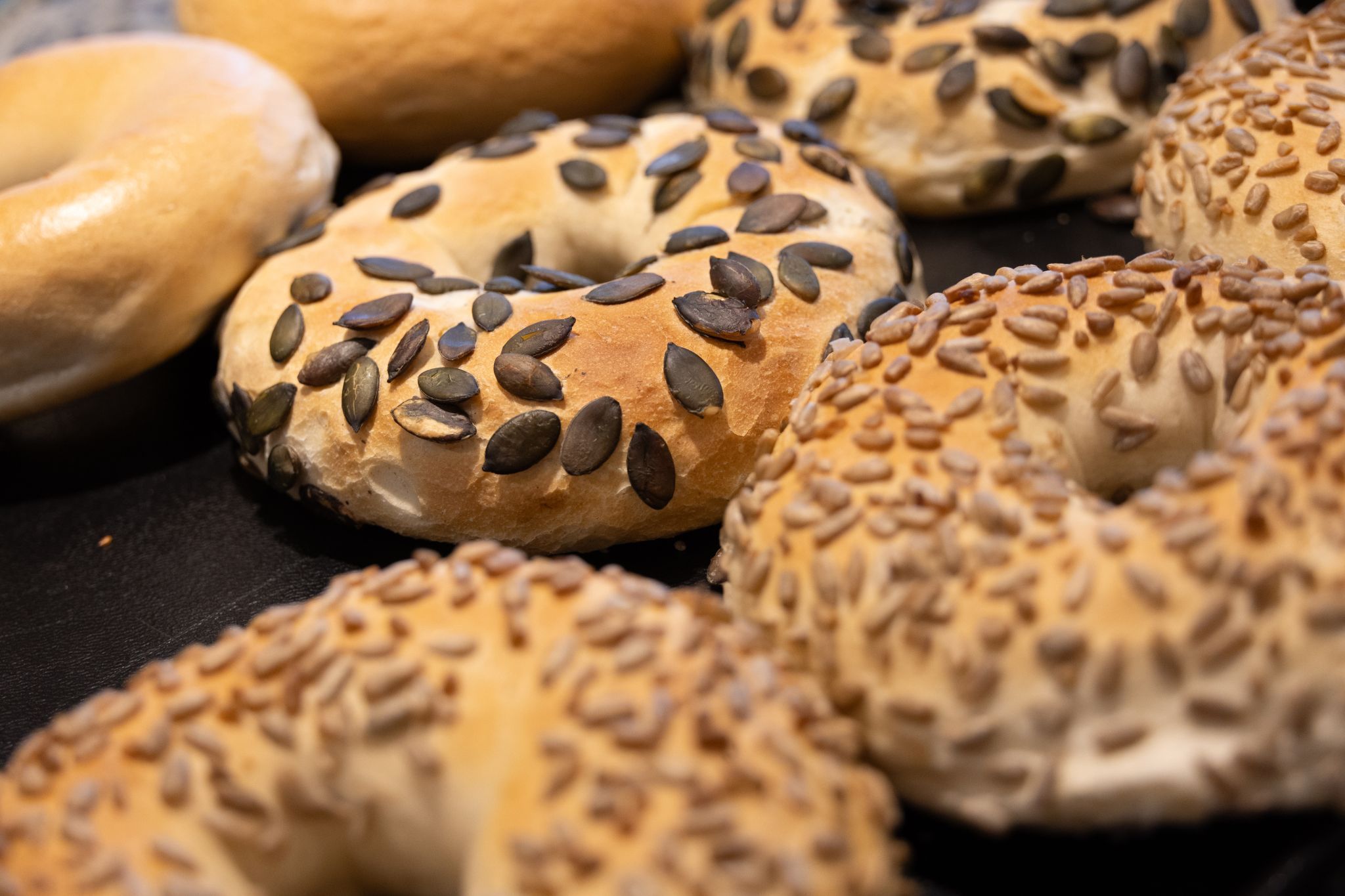 New-York-Feeling trifft Bregenz