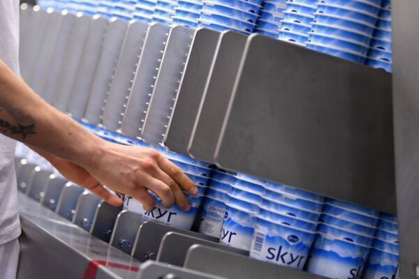 Proteinkonsum 2025 weiter gestiegen