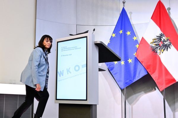 Nach Mahrer: Schultz vor Wahl zur ÖVP-Wirtschaftsbund-Chefin