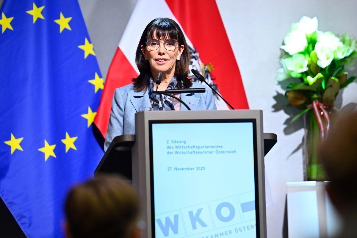 Reformarbeit in der Wirtschaftskammer startet