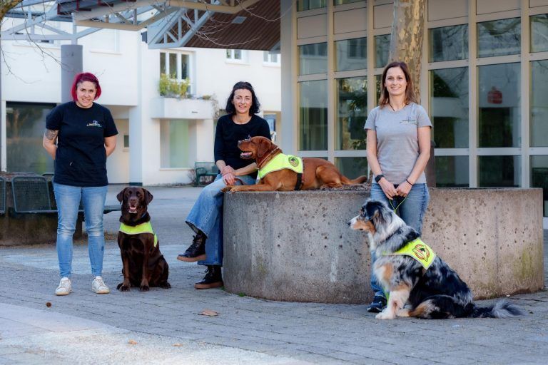 Achtung: Diese Hunde sind unsichtbar