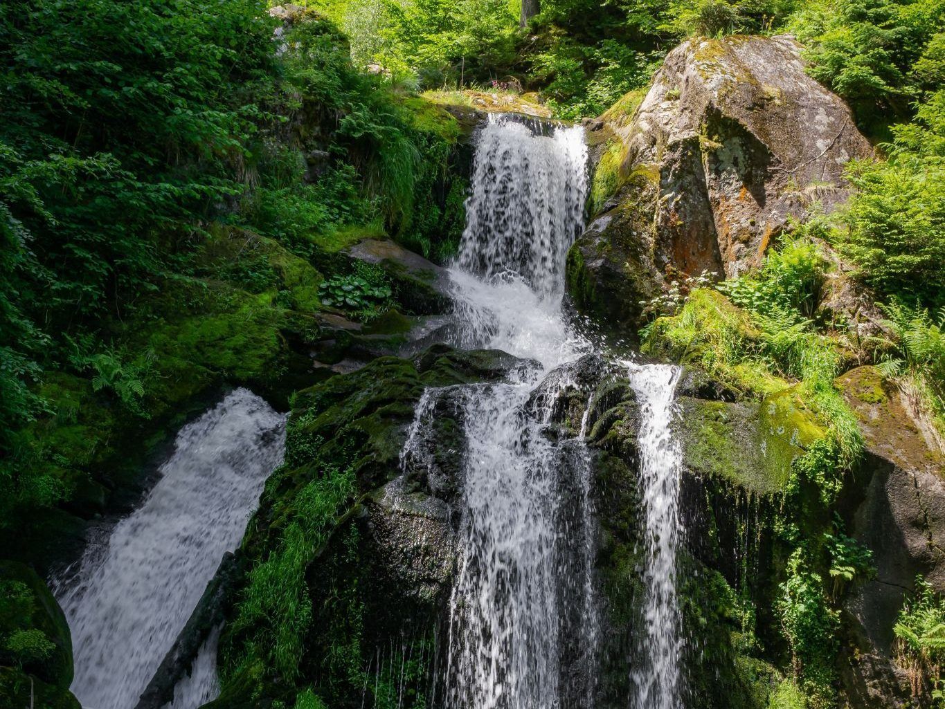 Evangeliumkommentar: Wenn Gott meinen Durst kennt