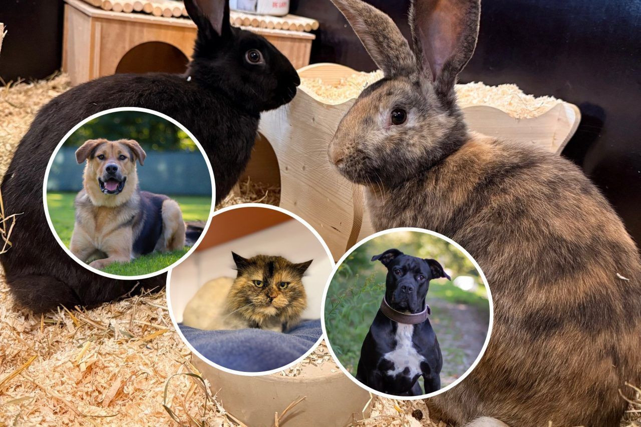 Gemeinsam statt einsam