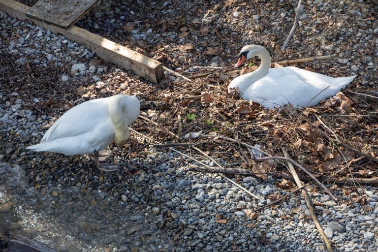 Sami Kyllönen und die Kunst, eine Illusion zu bauen