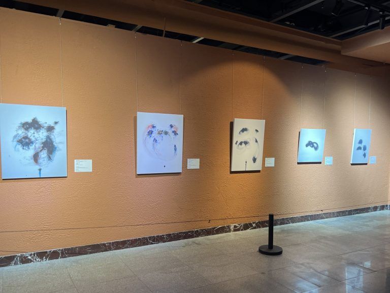 Österreich trifft Jilin | Ein ästhetischer Dialog über den Globus hinweg