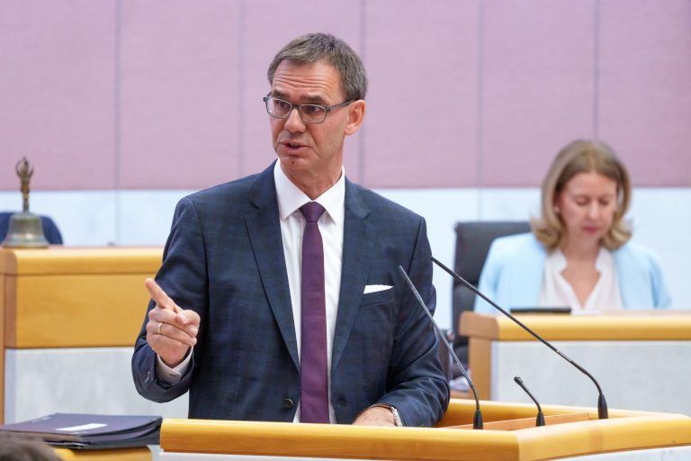 Landtags-Splitter: Wichtel, Wölflinge und der "Walli"