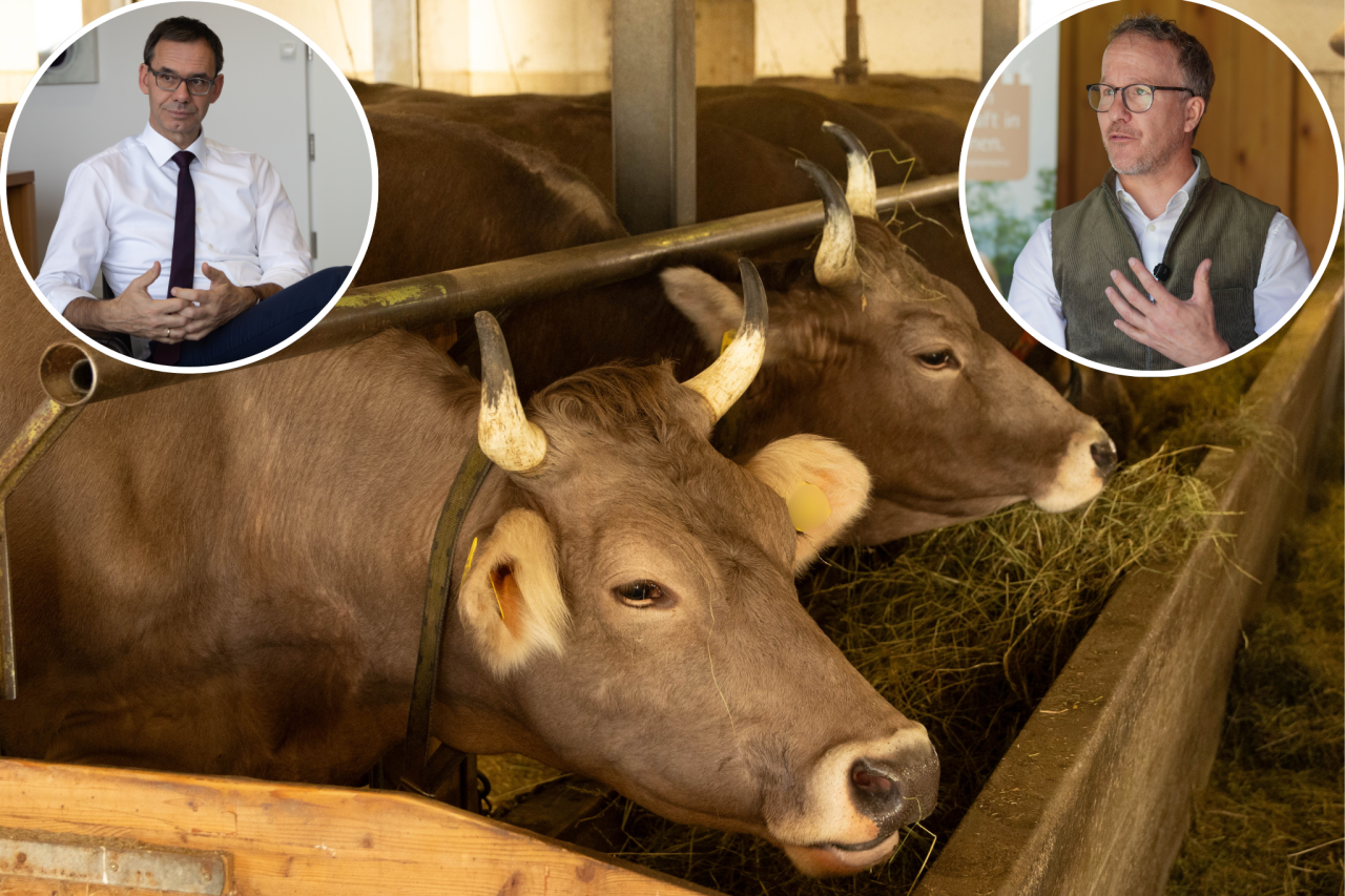 Wieder ein Viehbestand wegen TBC gekeult