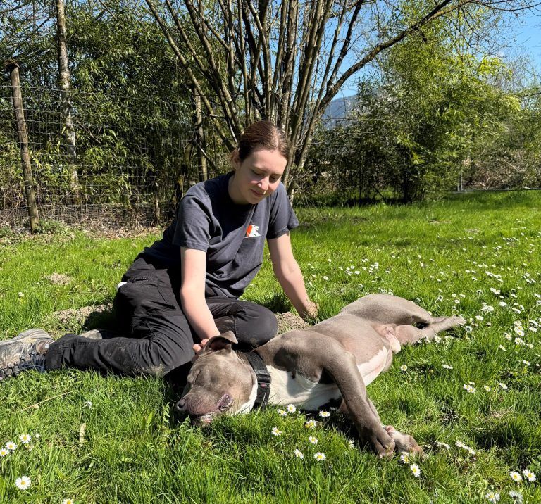 Tierecke, Tierschutzheim