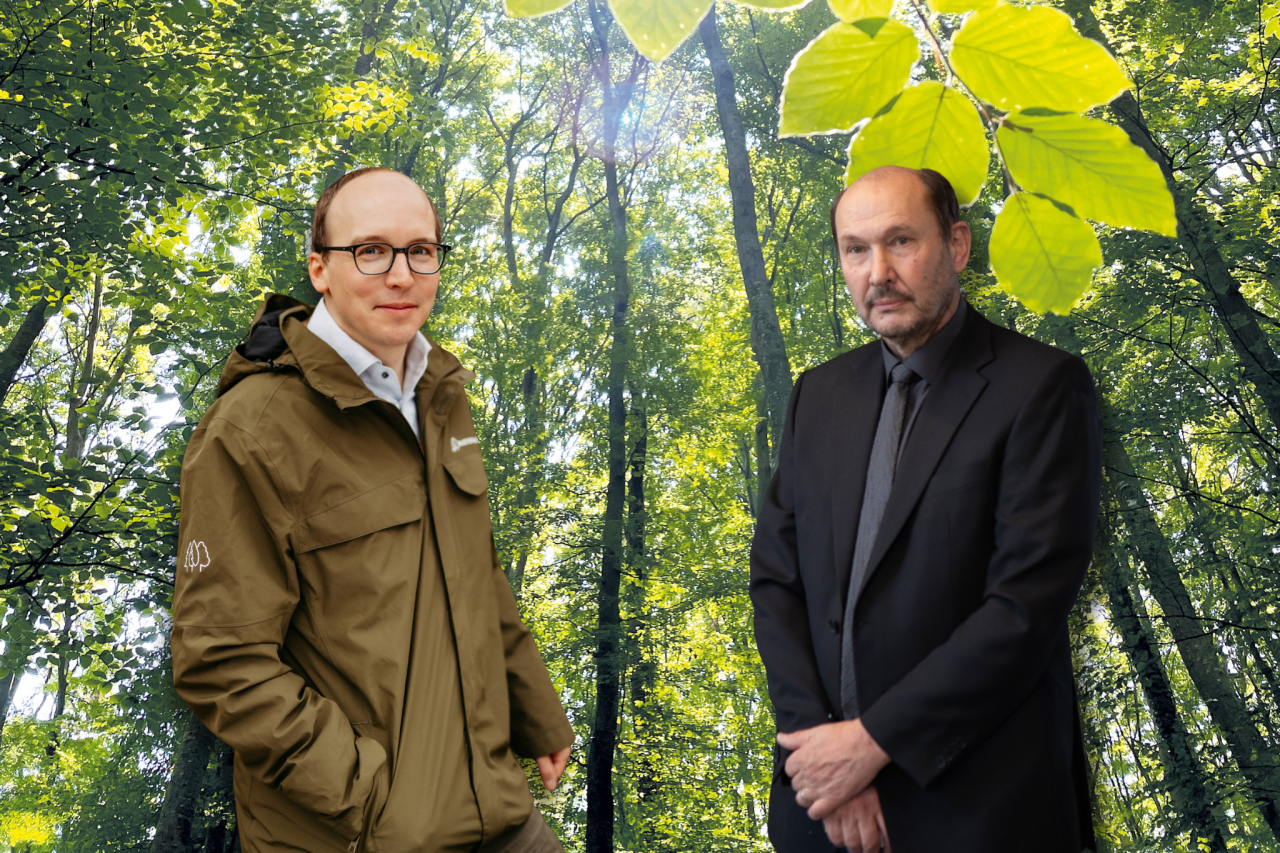 Zwist um Waldbestattungen in Vorarlberg landet vor Gericht