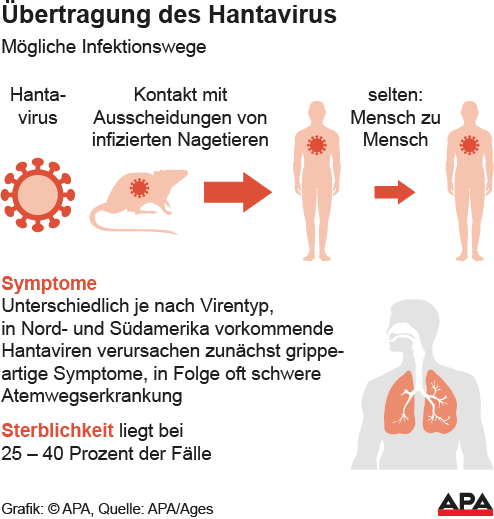 Wie gefährlich ist das Hantavirus für uns?