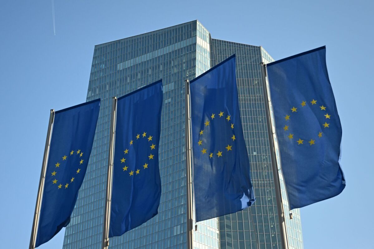 EZB-Mitglied hält Rezessionssorgen für berechtigt