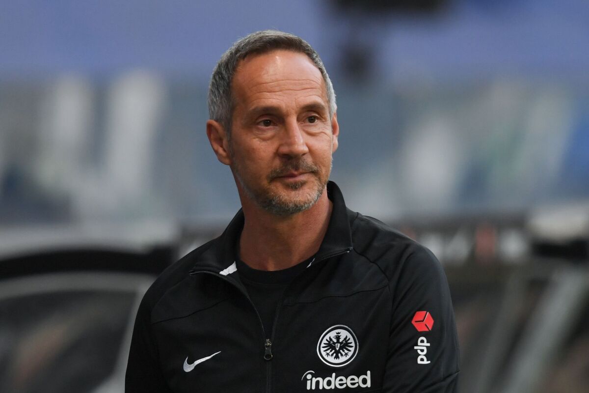 Hütter gibt ein Trainer-Comeback bei Eintracht Frankfurt