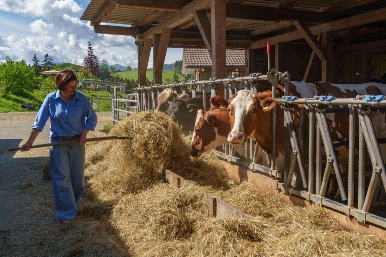 Urlaub mit Stallzeit - auf dem Naturhof von Familie Moosbrugger