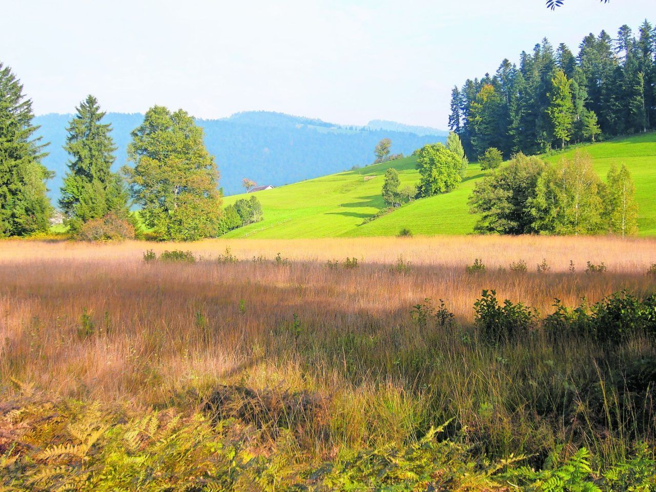 Perfekt für die ganze Familie: Gemütliche Wanderungen im Frühling