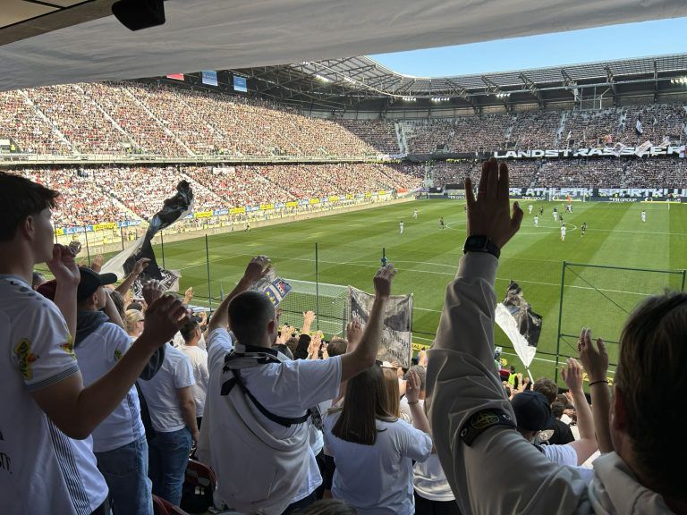 Fanreportage