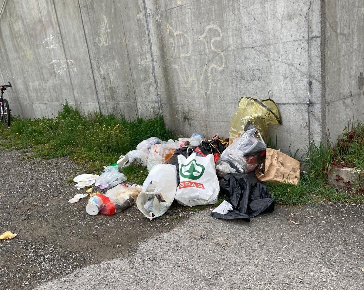 Grill-Chaos am Seeufer: "Solche Zustände wollen wir hier nicht"