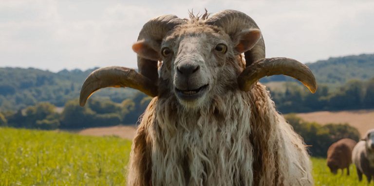 THE SHEEP DETECTIVES