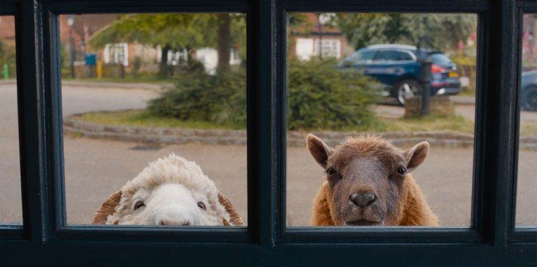 THE SHEEP DETECTIVES