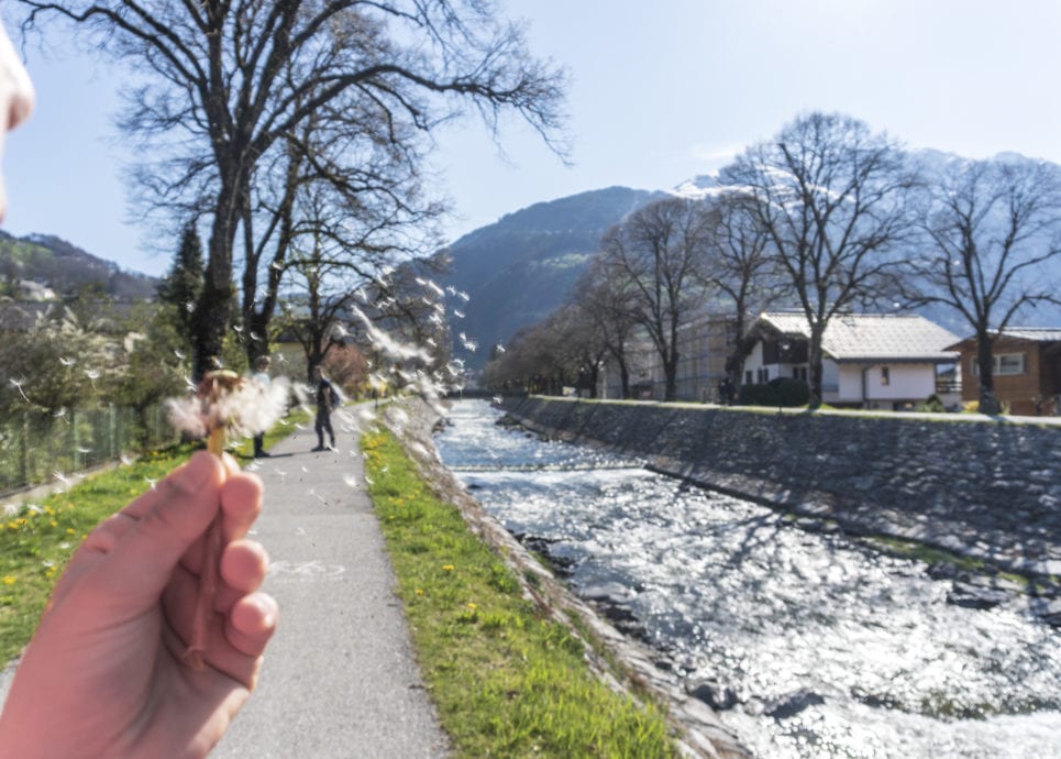 Perfekt für die ganze Familie: Gemütliche Wanderungen im Frühling