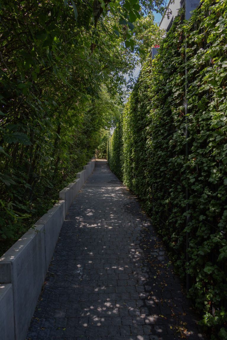 Ein alter Weg ist plötzlich zu – in Lochau wächst der Ärger