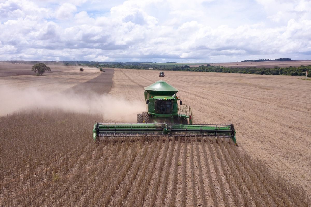 FAO/OECD: Trotz Klimawandel bis 2035 höhere Agrarproduktion