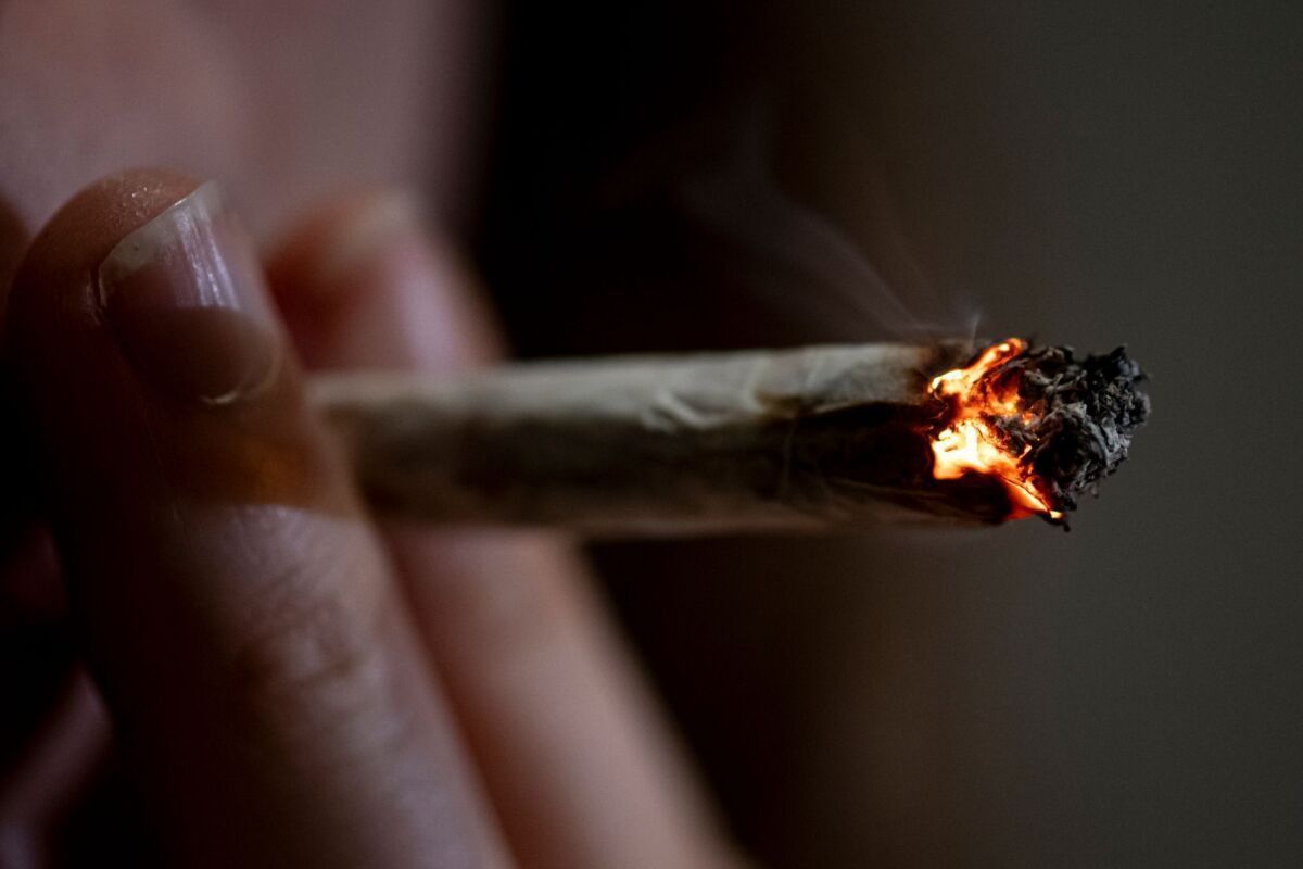 Schlangenalarm in OÖ führte zu Cannabisrauchern