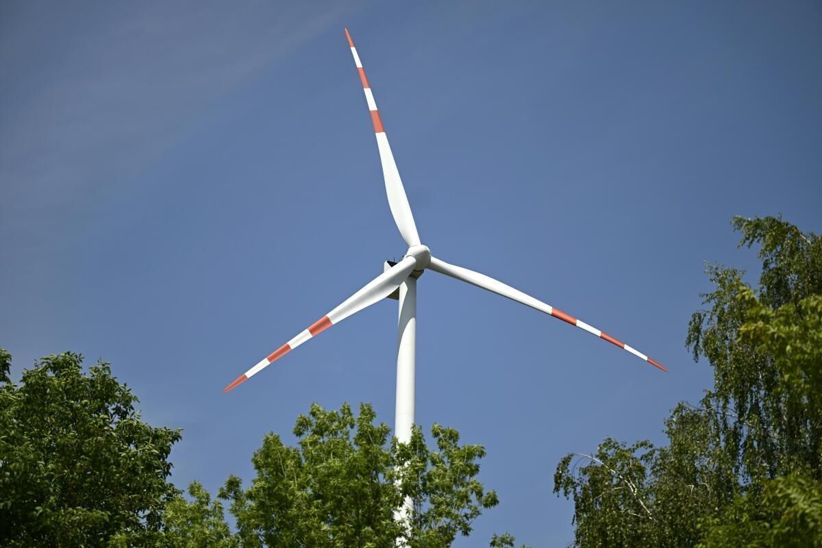 Zeitweiser Windräder-Stopp könnte Zugvögel schützen