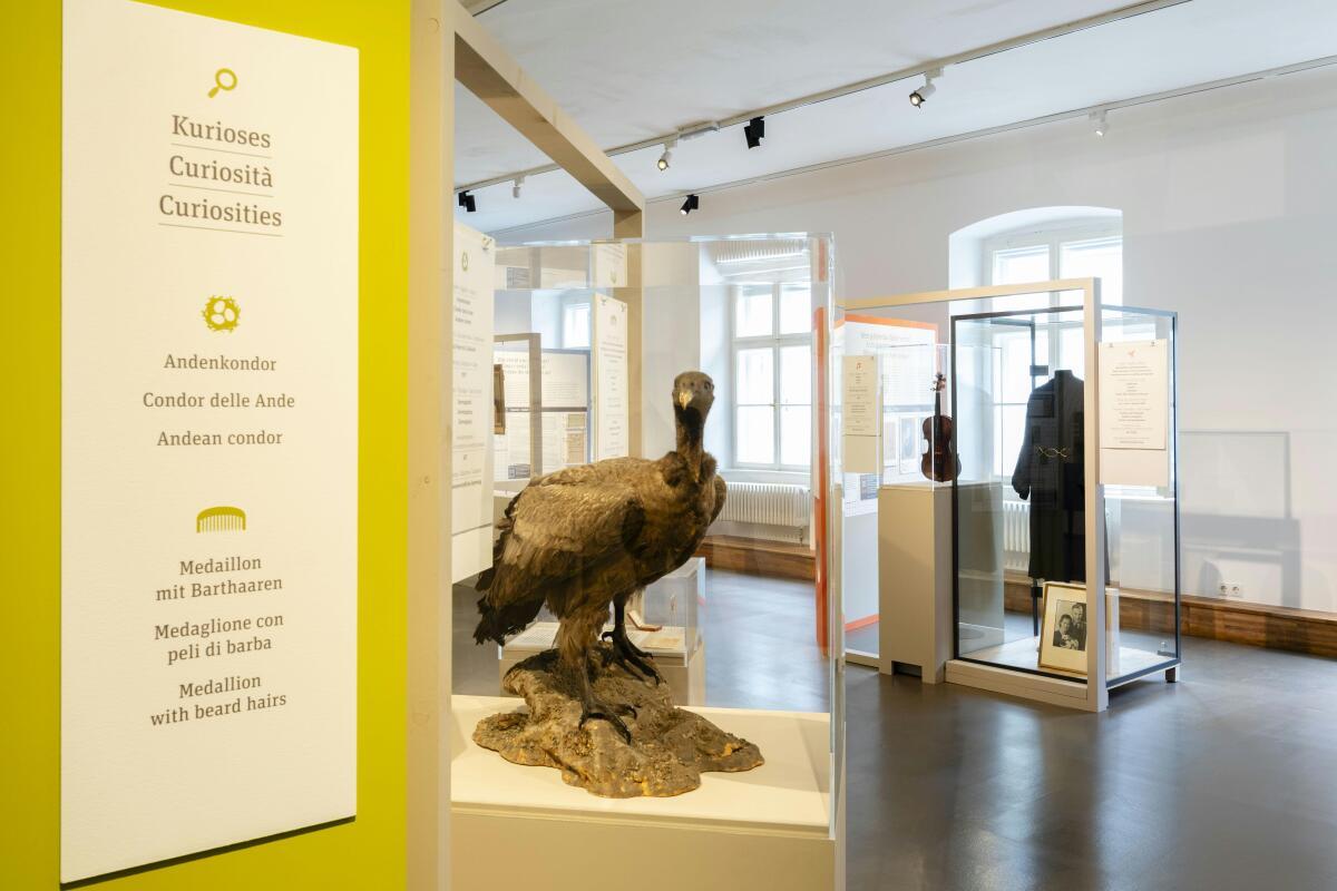 Tiroler Volkskunstmuseum mit Fokus auf Herkunft von Objekten