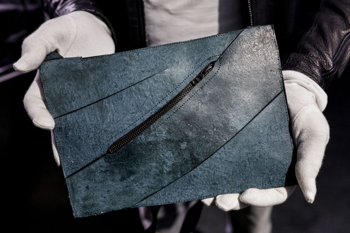 Auktion von Handtasche aus T-Rex-Hautzellen in Paris
