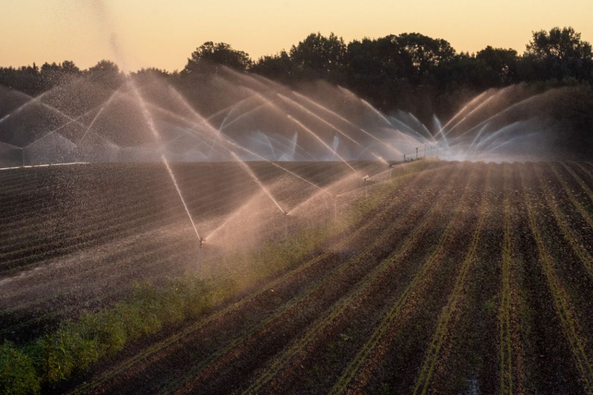 Umweltorganisationen fordern verbindlichen Grundwasserschutz