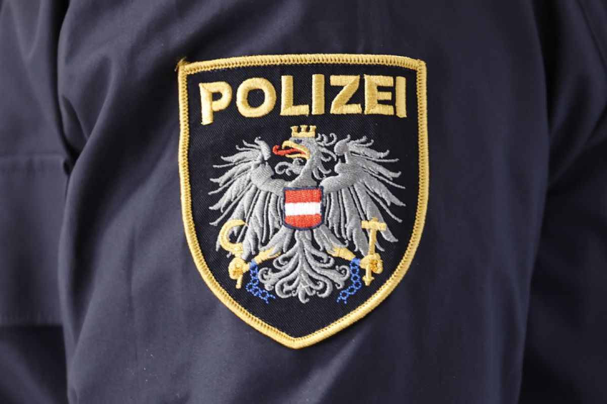 Vorarlberger Polizisten brachten Burschen zu Boden