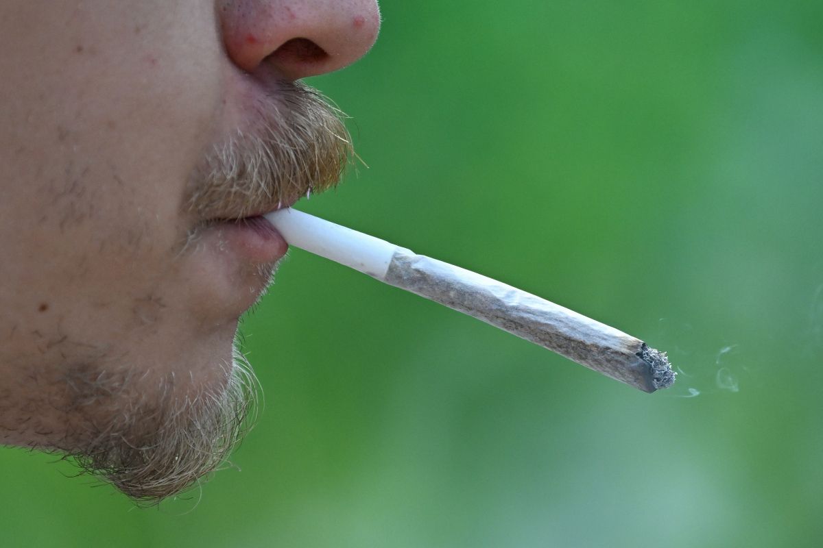 Kommerzialisierter Cannabis-Markt fördert Problem-Konsum